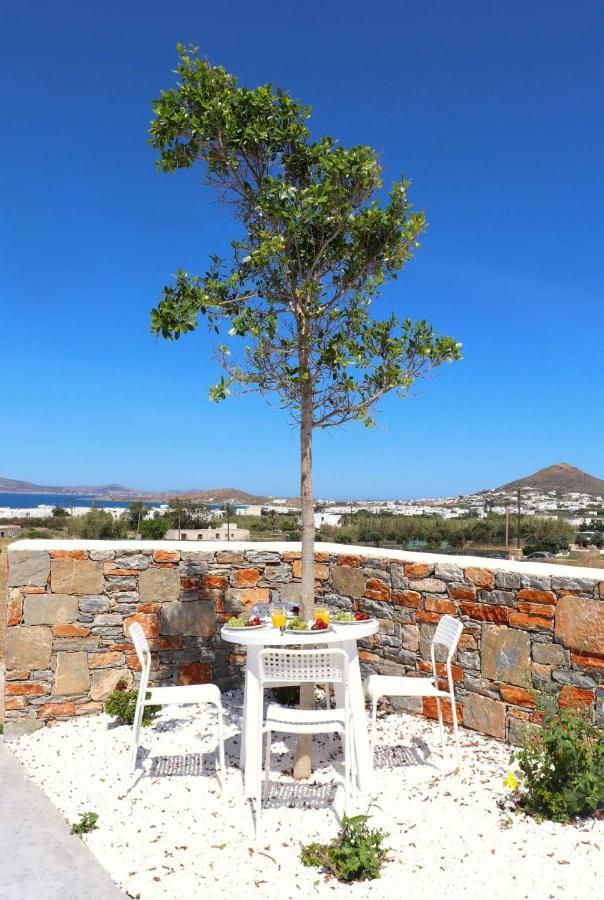 The Nine Graces - Agia Anna - Option With Private Pool Or Hot Tub Villa Eksteriør billede