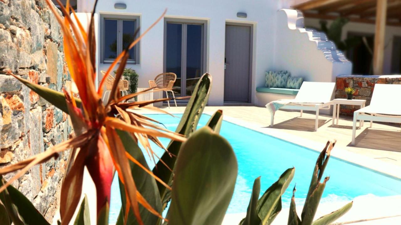 The Nine Graces - Agia Anna - Option With Private Pool Or Hot Tub Villa Eksteriør billede
