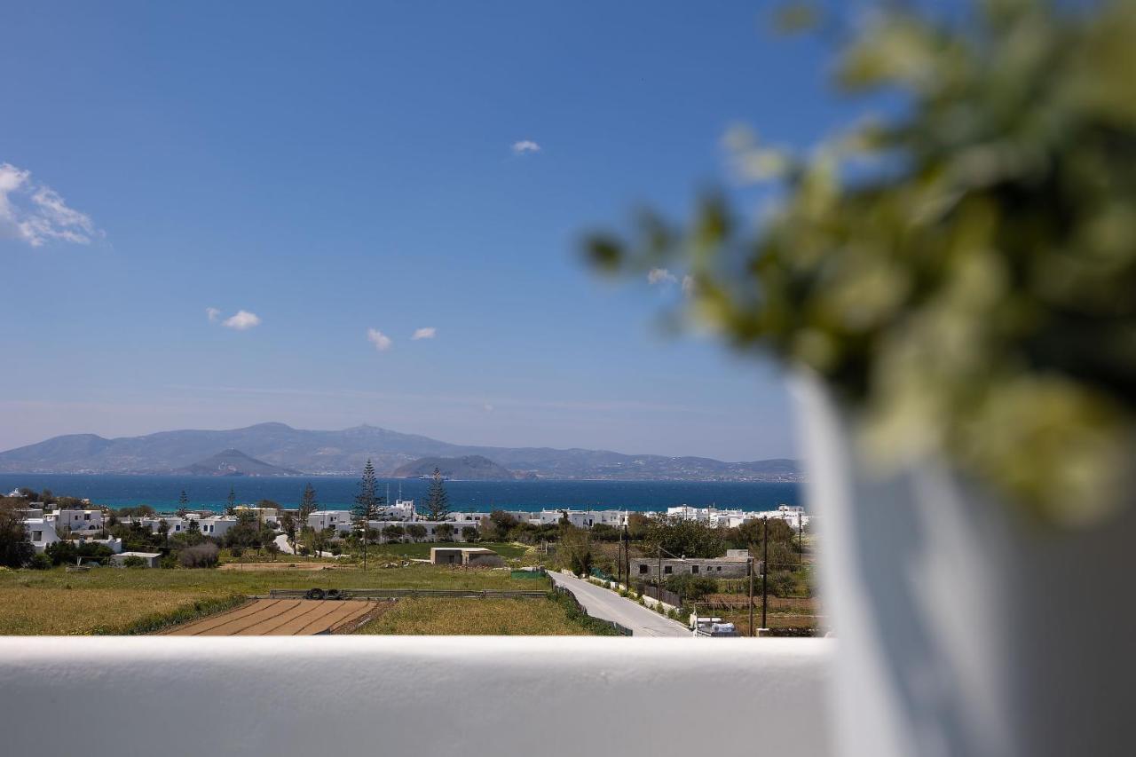 The Nine Graces - Agia Anna - Option With Private Pool Or Hot Tub Villa Eksteriør billede